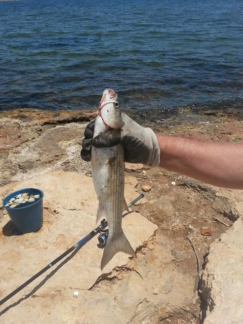 AMIGOS DE PESCA: PRIMERA VISITA 2013 CON 