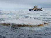 diatomeas fertilización océano hierro