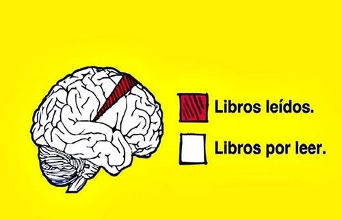 El mayor reto literario: libros por leer