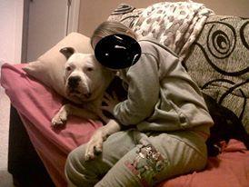 Ayuda urgente para Athor‏, injustamente a acabado en la perrera.