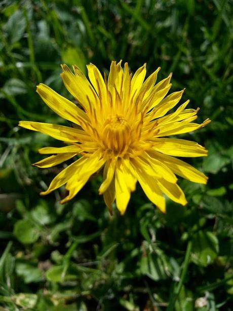 Androidografia Barakaldo 1370