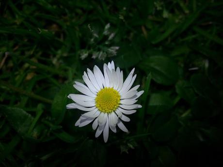 Androidografia Barakaldo 1373