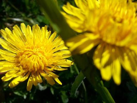 Androidografia Barakaldo 1371