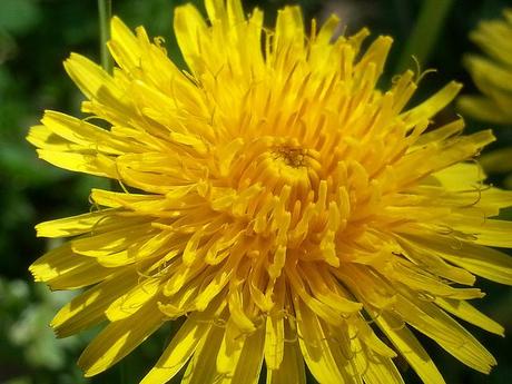 Androidografia Barakaldo 1369