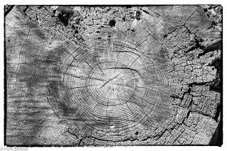 Dehesa de Villanueva