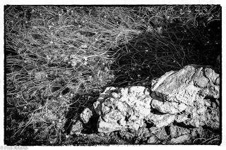 Dehesa de Villanueva