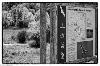 Dehesa de Villanueva