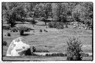 Dehesa de Villanueva