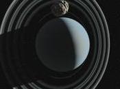 Tres centauros persiguen Urano sistema solar