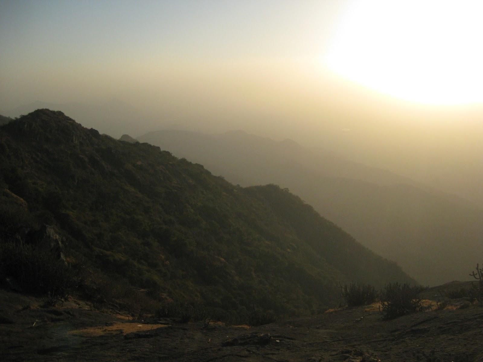 Experiencia práctica de paz y compasión