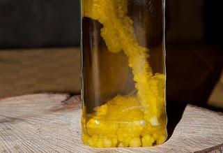 Por qué el Aceite se Congela de Manera Distinta al Agua