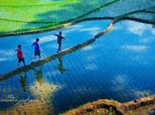 Recuperando noción juego: crecer para mayor, sino grande