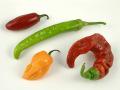 Enciclopedia Cocinista: Chiles 