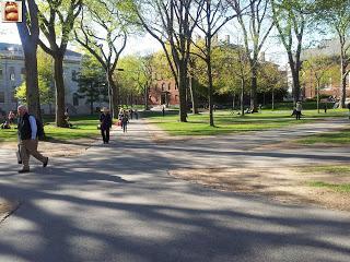 Día 7: Nueva York - Cambridge - Boston Día 7: Nueva York - Cambridge - Boston