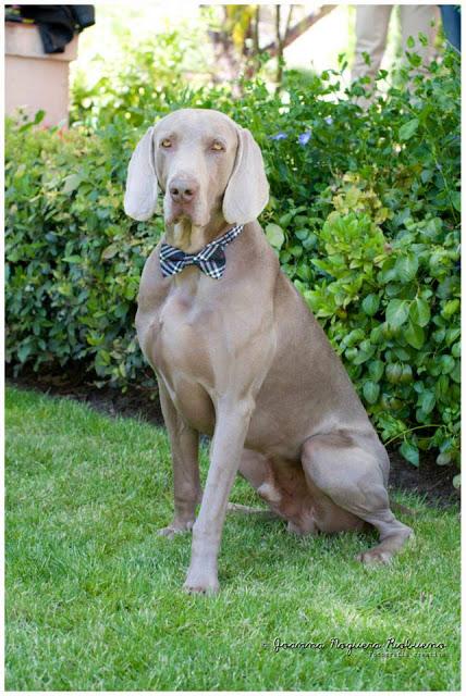 Esto no es picnic cualquiera es EL PICNIC DE LUCIA BE!