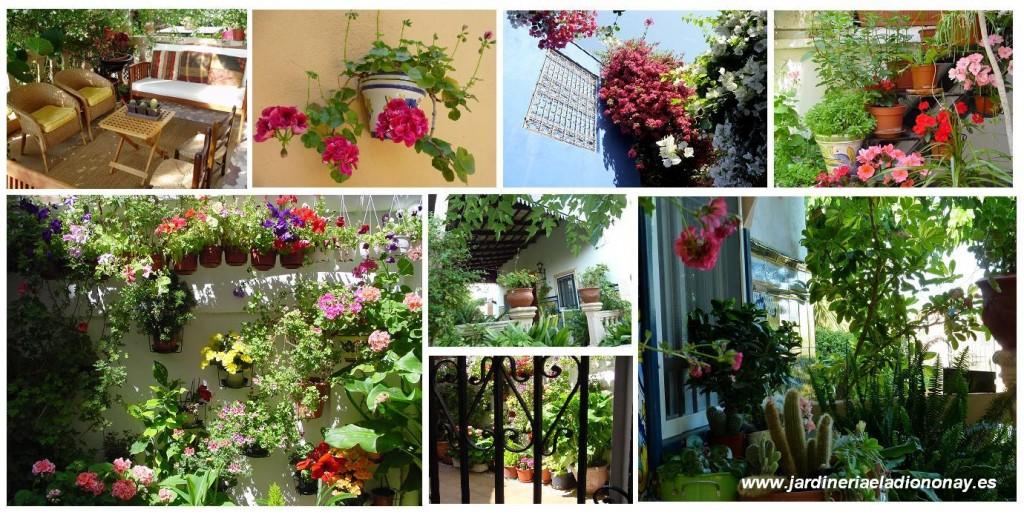 Decoración de patios y terrazas