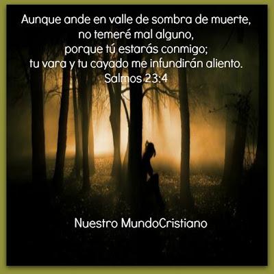 Guiados por el Buen Pastor