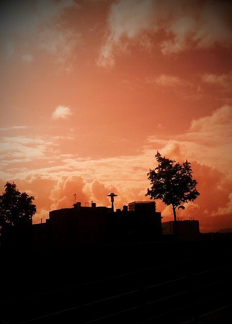 Androidografia Barakaldo 1376