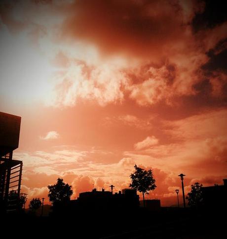 Androidografia Barakaldo 1378