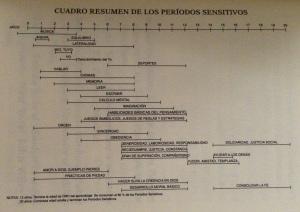 Períodos sensitivos