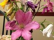 Secretos para alcanzar felicidad jardín