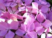 Poesía: familia amistad, sonidos vida