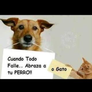 Galletas Naturales para tu perro..dale un regalo sano y con amor a tu mascota