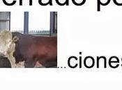 Deberes para esta semana