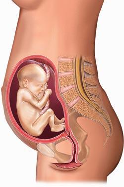 sintomas embarazada 20 20 SEMANAS DE EMBARAZO.
