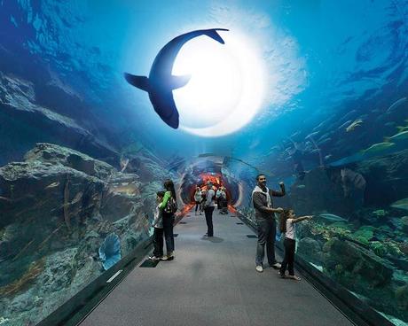 Bienvenido a los mundos del agua: los Acuarios más impresionantes del mundo!