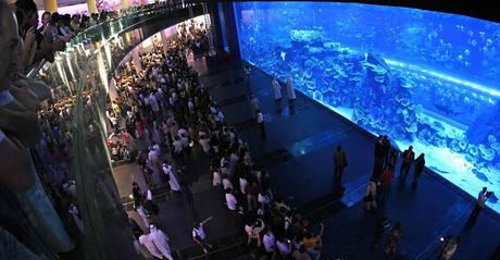 Bienvenido a los mundos del agua: los Acuarios más impresionantes del mundo!