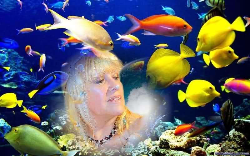 Image and video hosting by TinyPic