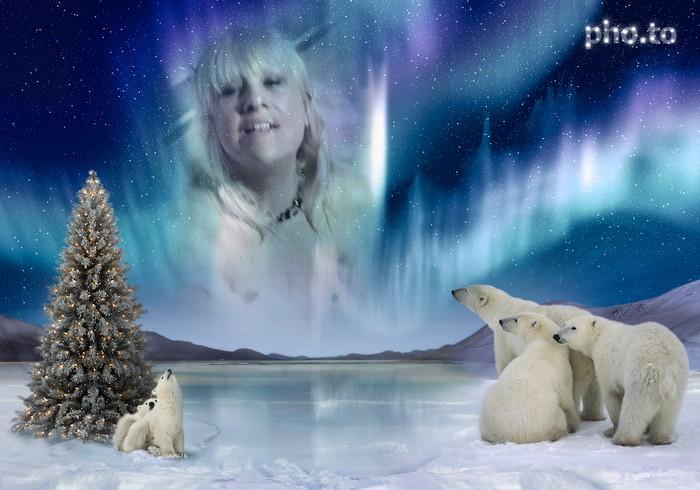 Image and video hosting by TinyPic