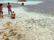 Viajar Roques ahorrar poco