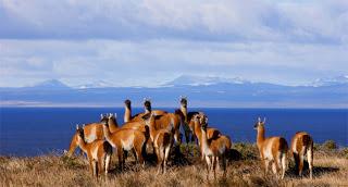 TIERRA DEL FUEGO EN EL ÚLTIMO RINCÓN DE LA PATAGONIA