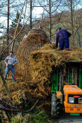 Aventuras de Diego José Aragor Iriarte en Venezuela