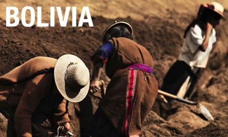 Cortesía de www.cesr.org