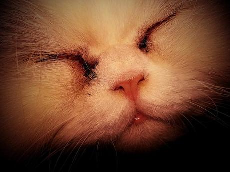 Androidografia Barakaldo 1394