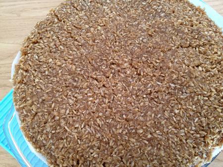 Buen finde Drømmekage Bizcocho de vainilla con topping de coco recetas postres nórdicos recetas fáciles y rápidas de bizcocho recetas dulces café merienda desayuno recetas delikatissen recetas danesas nórdicas postres receta diferente bizcocho receta de bizcocho de vainilla con coco postres con vainilla y con coco drømmekage receta danesa nórdica