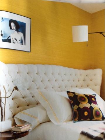 DECO: La fiebre amarilla