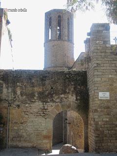 Entrada a Pedralbes, Barcelona, Polidas chamineras