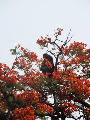 India - Agra - Taj Mahal