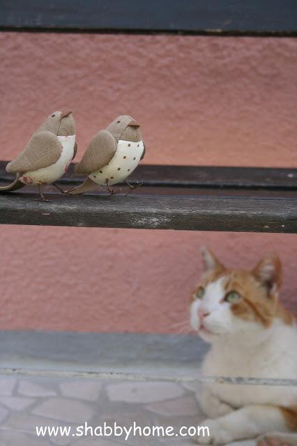 Conociendo otros blogs Conociendo otros blogs