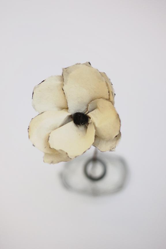 Las flores de Kelli y Nicole