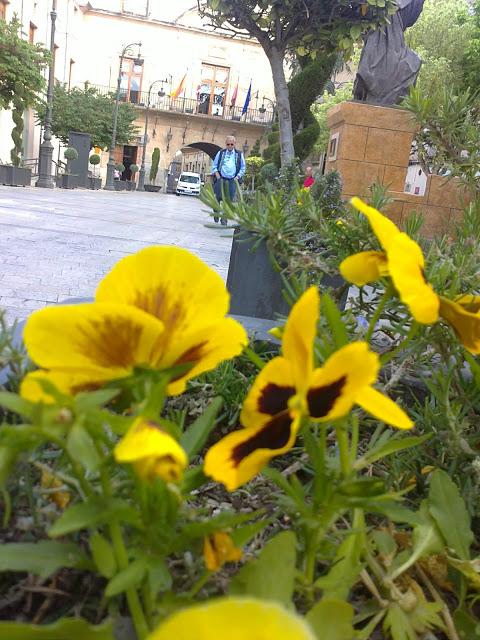 BLOGGER TRAVELLER, CARAVACA EN PRIMAVERA...