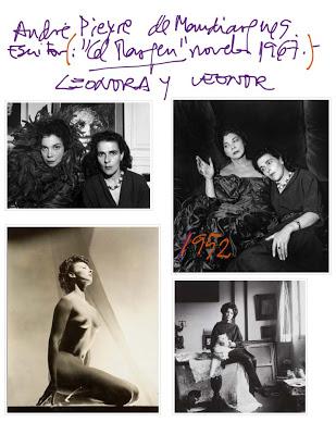 Leonora Carrington por Elena Poniatowska. Anotaciones de lectura IV