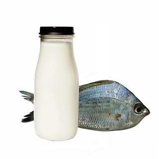 receta cola de pescado