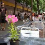 Decora tu balcón 2013