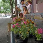 Decora tu balcón 2013