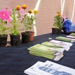 Decora tu balcón 2013